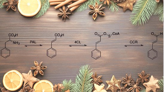 Cinnamic aldehyde