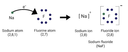 Lewis model of chemical bonds