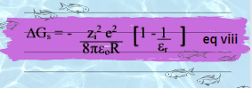 Born Equation