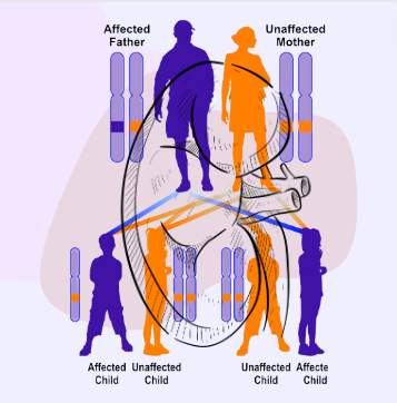 Renal Coloboma Syndrome Gene Review